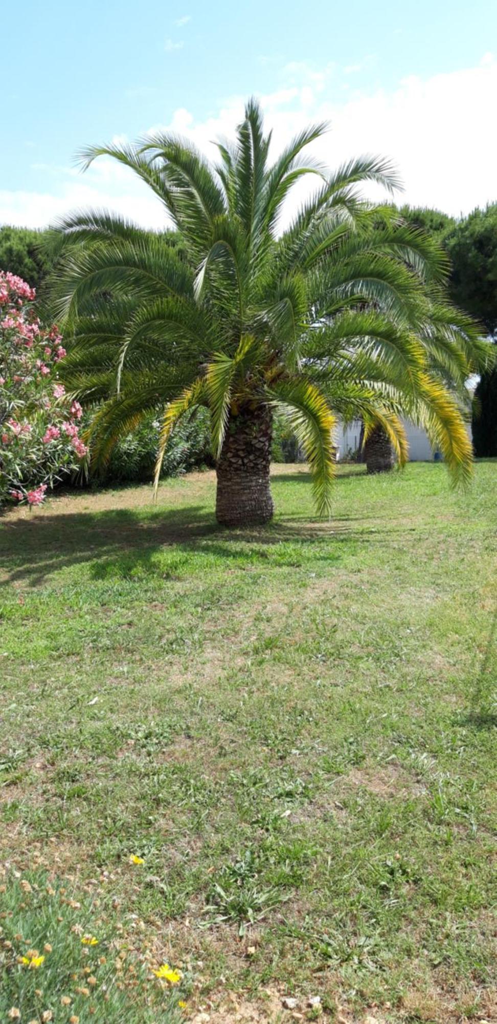 Résidence Les Floralies 2 - Avenue De Camargue * Le Grau-du-Roi